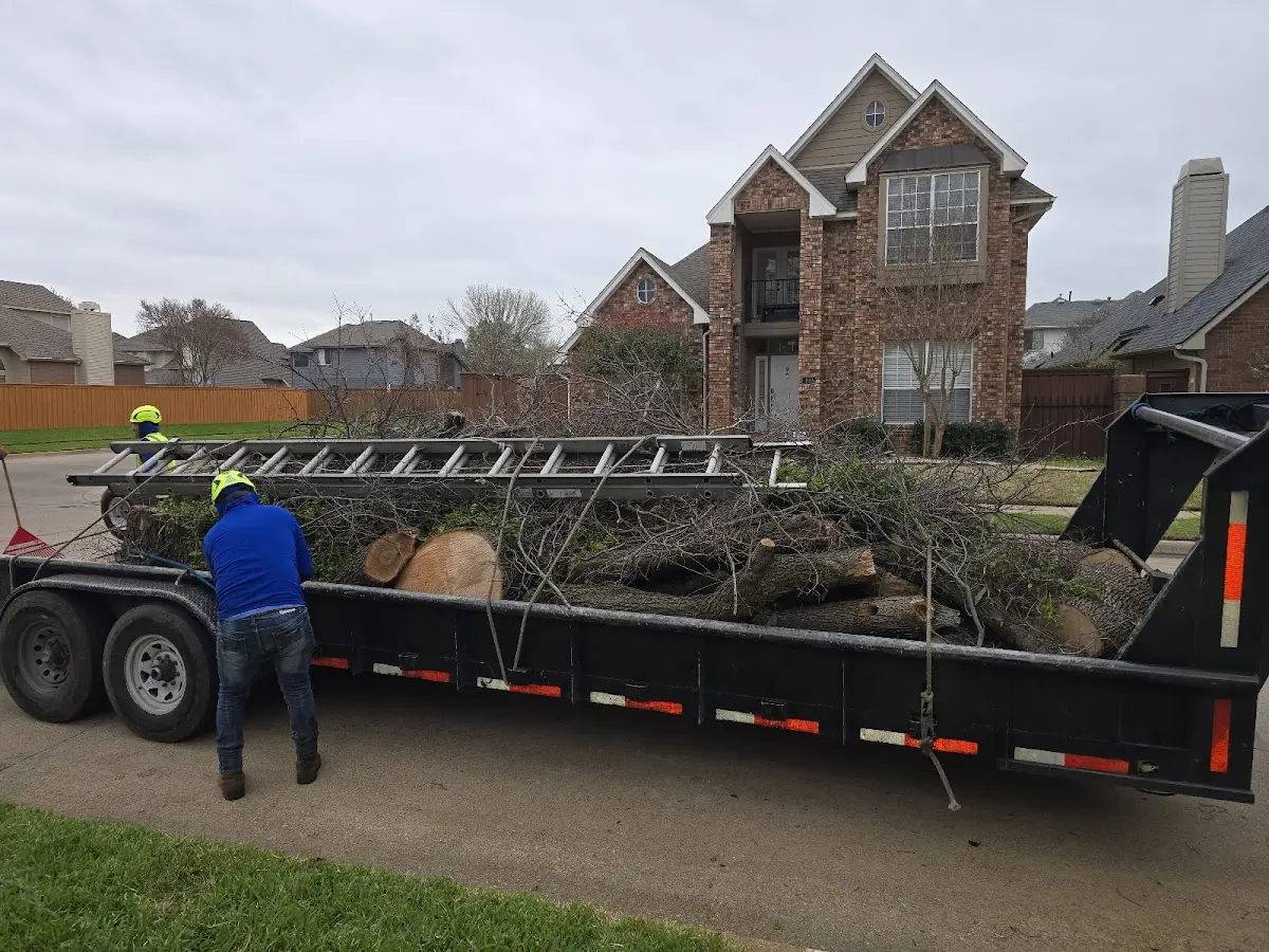 Expert Tree Pest Control with proper safety equipment in Mendota